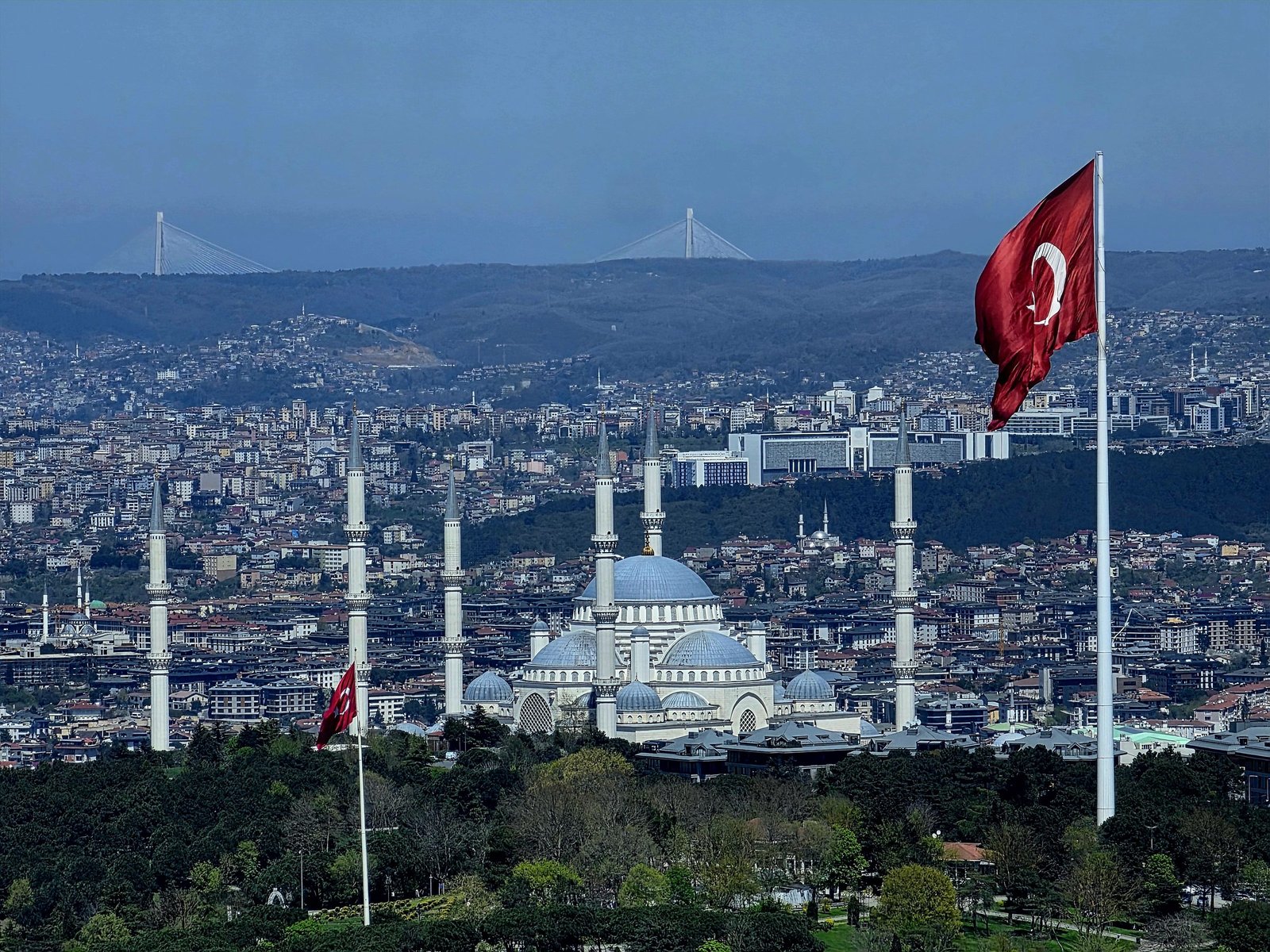 Çamlıca collection cover