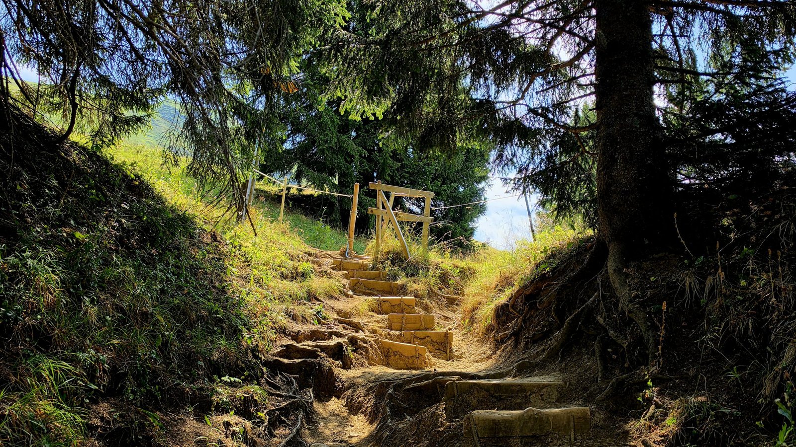 Lake Brienz, Lake Brienz